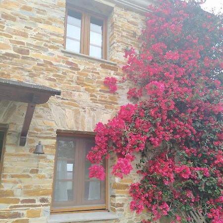 فيلا Casa Crisanta Lomba المظهر الخارجي الصورة