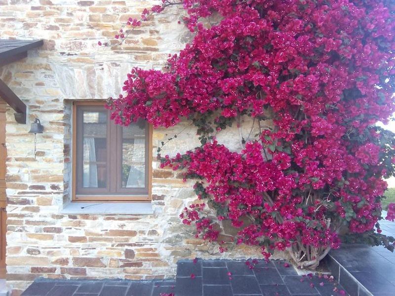 فيلا Casa Crisanta Lomba المظهر الخارجي الصورة