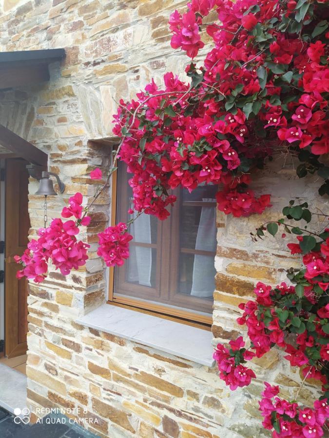 فيلا Casa Crisanta Lomba المظهر الخارجي الصورة
