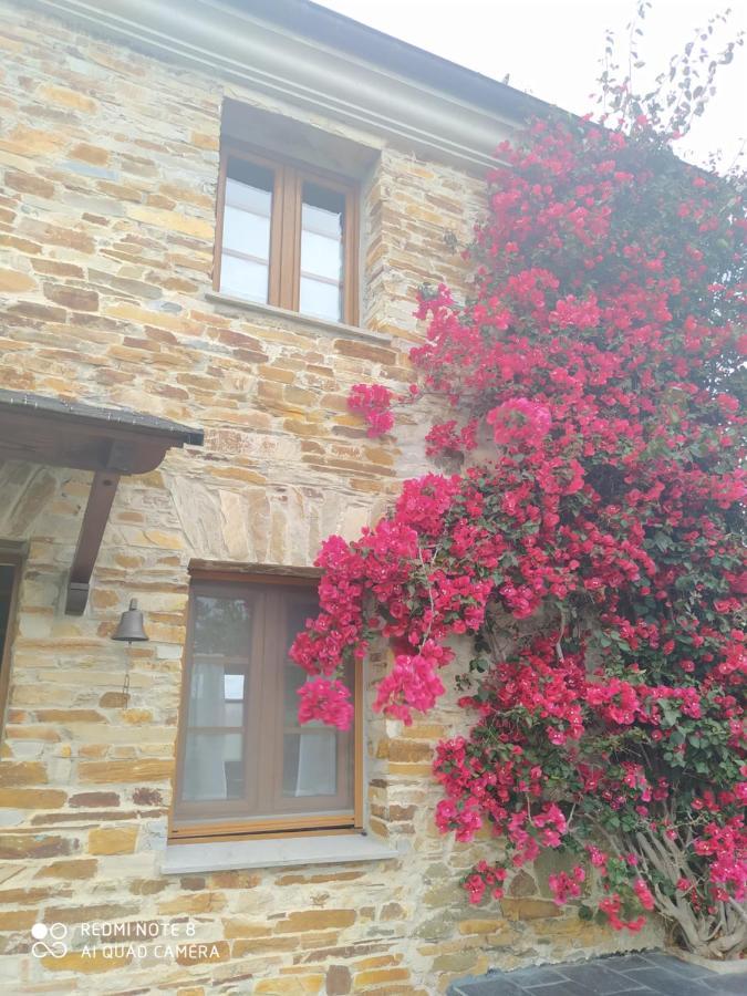 فيلا Casa Crisanta Lomba المظهر الخارجي الصورة